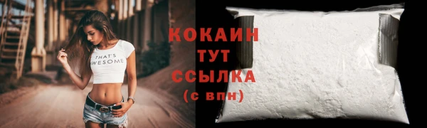 мет Галич