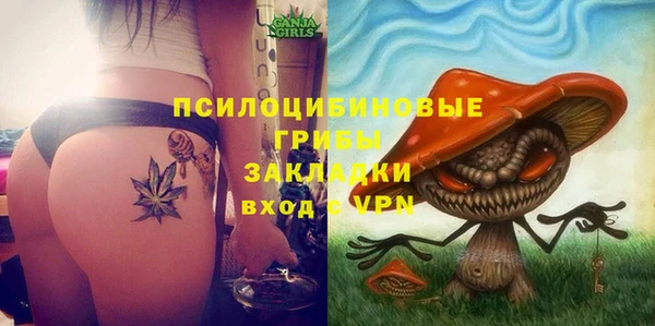 метамфетамин Ельня